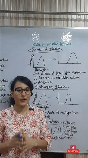 Modes of Natural Selection || Directional Selection, Stabilizing Selection, Disruptive Selection