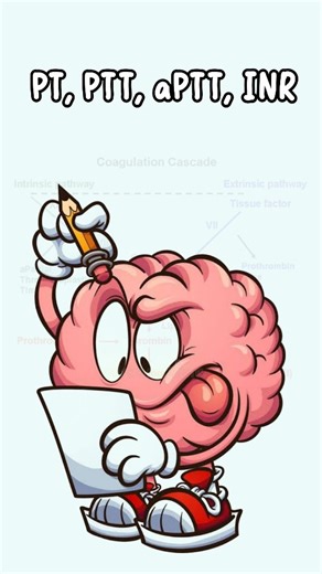 Talks_medicine | Divin LK | Time is clotting! Learn PT, aPTT & INR in a flash! Prothrombin Time, Partial Thromboplastin Time, aPTT, INR, Clotting Factors, Coagulation... | Instagram