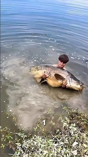 The fish that walks out of the water