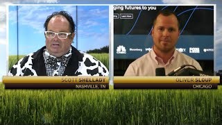 livestock-markets-ahead-of-cattle-on-feed-oliver-sloup-on-rfd-tv-livestock-by-blue-line-futures-llc