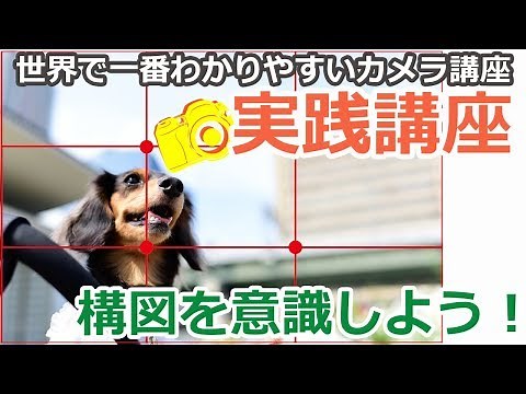 写真の撮り方ー構図を意識しようー西村優子の世界で一番わかりやすい一眼レフカメラ講座