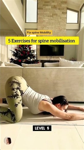 5 Exercises for spine and mobilisation level #shortvideo #shorts
