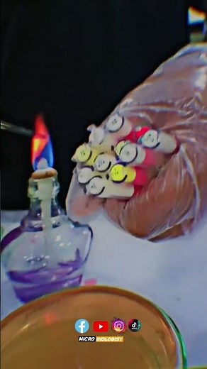 Antibiotic Susceptibility Testing || Microbiology Techniques || #microbiologist || #microbiology