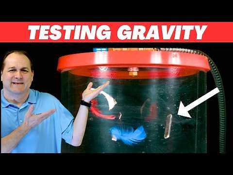 I TESTED a NASA Apollo Lunar Gravity Experiment!
