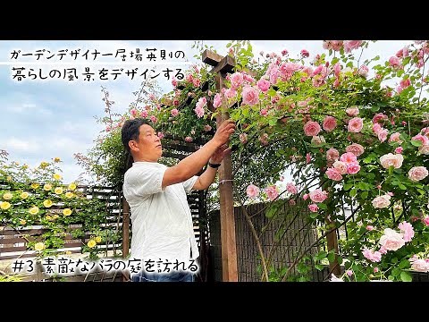 【暮らしの風景をデザインする #3】～素敵なバラの庭を訪れる～【ガーデンデザイナー居場英則】