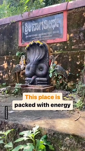 145K views · 4.5K reactions | Mysticism and snakes cannot be...