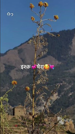 The Most Romantic Getaways in Nature