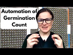 How to Automate Germination Rate & Seedling Count: AI Counts 240-Cell Trays with Computer Vision