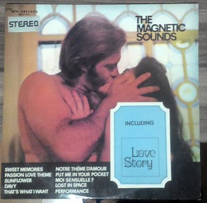 The Magnetic Sounds - The Magnetic Sounds