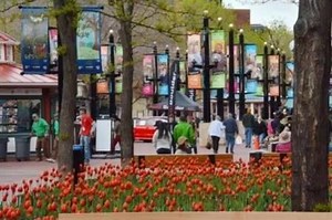 7.8K views · 74 reactions | Don't miss Taste of Pearl on April 23rd. Experience 15 Boulder restaurants paired with 15 Colorado wineries/distilleries hosted in 15 of Downtown Boulder's best boutiques and galleries. Event is expected to sell out. Buy your tickets now at www.tasteofpearl.com | Downtown Boulder | Facebook