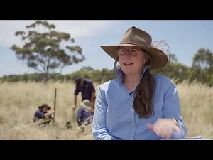 Point Transect methodology