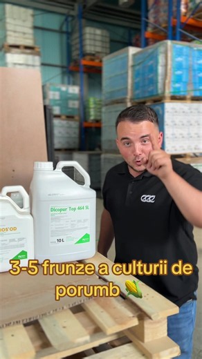 3-5 frunze la porumb: când și ce înseamnă pentru profit pe hectar
