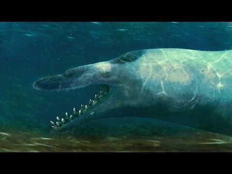 Basilosaurus: Prehistoric Sea Monster Whale Facts Mini Documentary