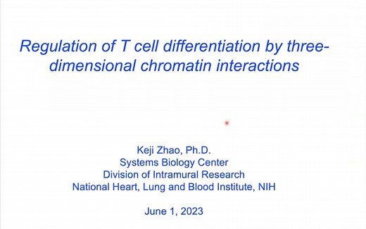 Regulation of T cell differentiation by three-dimensional chromatin interactions