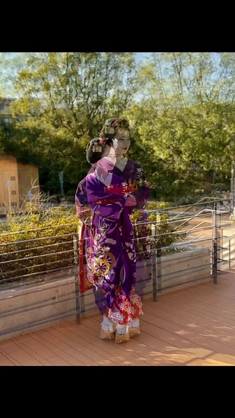 舞妓真矢さんの美しさを巡る祇園甲部のイベント
