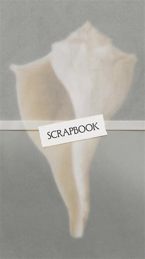 October November | Mockups on Instagram: "Video mockups just dropped! ✂️ The Scrapbook mockup collection features 9 animated video mockups for Photoshop – featuring cut-paper animation, layered paper stacks, page turns + more. - Simply drop in your designs + render - Easily swap out background colors - Toggle on these optional crispy paper texture sounds for that extra tactile touch Live now: $20 off through Oct. 1st → www.octobernovember.com⁣⁣"