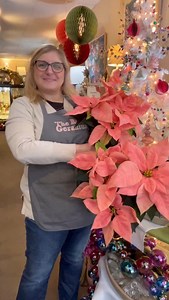 Meet Ashley, one of the Red Geranium’s talented designers! ✨ Find her fav pink poinsettias freshly delivered this week to the store just in time for Christmas by The Lake! ❄️ | The Red Geranium