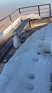 Yesterday we accessed the barge and as you can see in the video the ice was still 3-4 inches thick. We did however decide to take hammers and a large crowbar and see if we could break all the ice up. After a couple of hours we succeeded. 😁we hope to reopen the barge today once the sun melts the thin layer of ice coating the boards. I will update in a few hours! | Lake Kickapoo Fish Camp