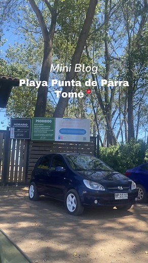 Playa Punta de Parra: Un Paraíso en Tomé, Chile