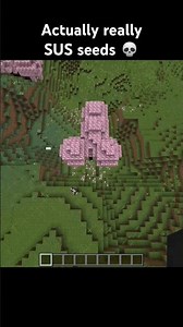 Minecraft Weirds SUS Seeds 💀