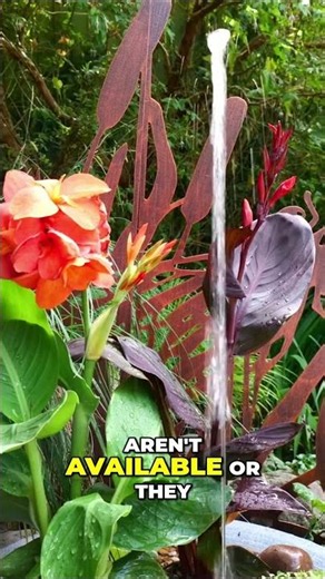 DIY Patio Pond in an Afternoon #diy #patiopond #garden