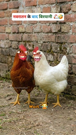 नवरातन के बाद बिरयानी #funny #thetharpuns #bhojpuriyathethar #comedy