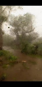 Paron Jodie Ann on Reels