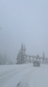 🚨 Red Mountain Pass Update 11/30/2025 Current conditions at the summit right now — heavy snow, slick pavement, and low visibility. If you can avoid traveling, don’t go. This storm is dumping fast and the Million Dollar Highway is no joke in weather like this. Stay safe out there. ❄️🙏 #redmountainpass #milliondollarhighway #snowstorm #Colorado #SanJuanMountains #OurayWildOutdoors #OurayColorado #NatureLovers #outdoors #nature #wildlife #roadtrip | Ouray Wild Outdoors