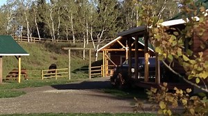 Heartland S2E11P1 | Hollywood starlet and gossip-rag fodder, Mindy Fanshaw, arrives at Heartland under the pretext of honing her non-existent riding skills in anticipation of an upcoming role. Almost everyone is thrilled at the prospect of having Fanshaw in their midst, but a confidentiality contract signed by all puts a damper on the excitement. Mallory is found to be hiding out in one of the dude ranch cabins, having been aided in her 'escape' from the boarding school by young Jake. Mallory sh