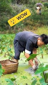 Taro Root Recipe |Village Cooking #handmade #traditional #villagelife #villagecooking #food