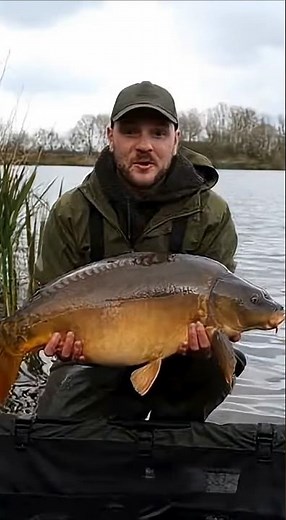 What Happens After You Release a Carp! #carpfishing