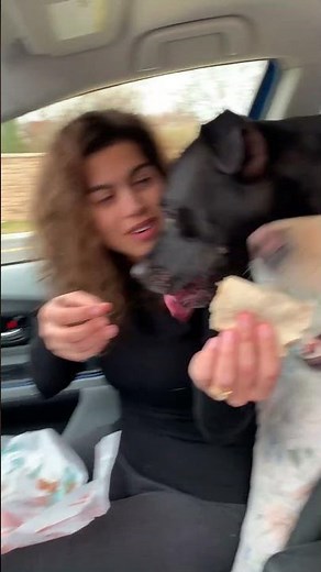 Dog Shakes With Excitement When She Hears Her BFF's Name | The Dodo