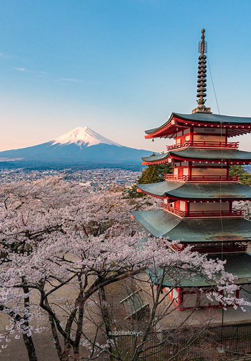 日本の春の絶景：富士山と満開の桜