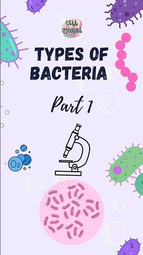 Types of bacteria and their classification Part 1 #bacteria #bacteriatypes #microbiology #bacteria