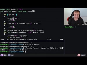 Coding echo in C from Scratch