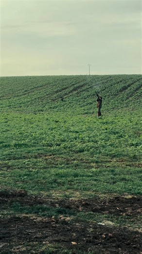 Rien de plus sympa que de partager une journée avec nos Labradors dans leur domaine de prédilection. Labrador un jour, Labrador toujours 🖤… #jourdechasse #labradordetravail #labradorconnivence #huntingday | Connivence Labradors de Travail