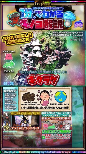 A one-minute explanation of wood ear mushrooms #Roga mushroom explanation