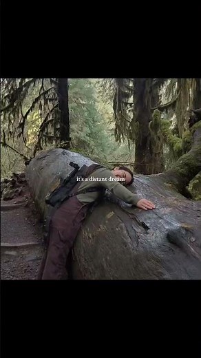 spring into summer - lizzy mcalpine #indie #pop #lyrics #nature #lizzymcalpine