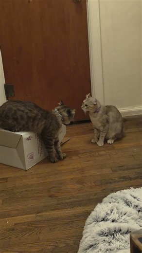 Billy vs Mandy vs carrier box pt 4