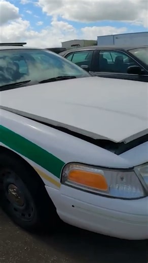 Why Car Detailing Businesses Go BROKE