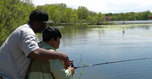 How many fish are there in Minnesota lakes and rivers?