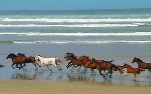 Windows7自带的视频 今天就带大家看看