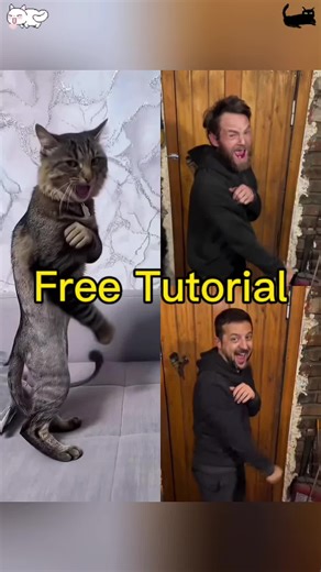 Cat Goes Full Bruce Lee in Viral Meme