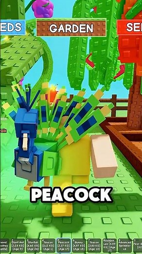 The Peacock Combo is OP for Pet Abilitys in Roblox Grow a Garden! 🦚 🌴