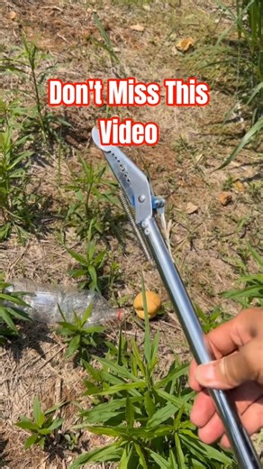 Amazing Farm Picking Tool 🌱 Easy Grabber Hack #shorts #diy #farmlife #tools #hack #shortvideo