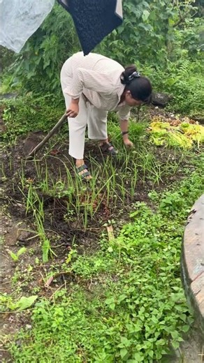 Bhutanese Zamin