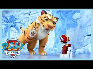 Paw Patrol - In the Ice Age | WildBrain Zoo | Cartoons for Kids