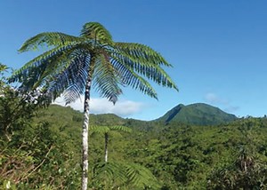 Le Belvédère de l'Eden dans l'Est