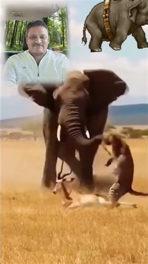 🐘 insaan achhe ya bejuban janvar 🐘 #insane #tranding #viralvideo #video #motivation