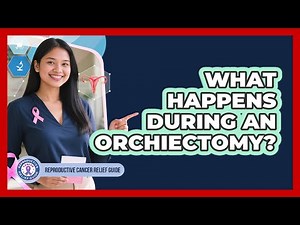 What Happens During An Orchiectomy?